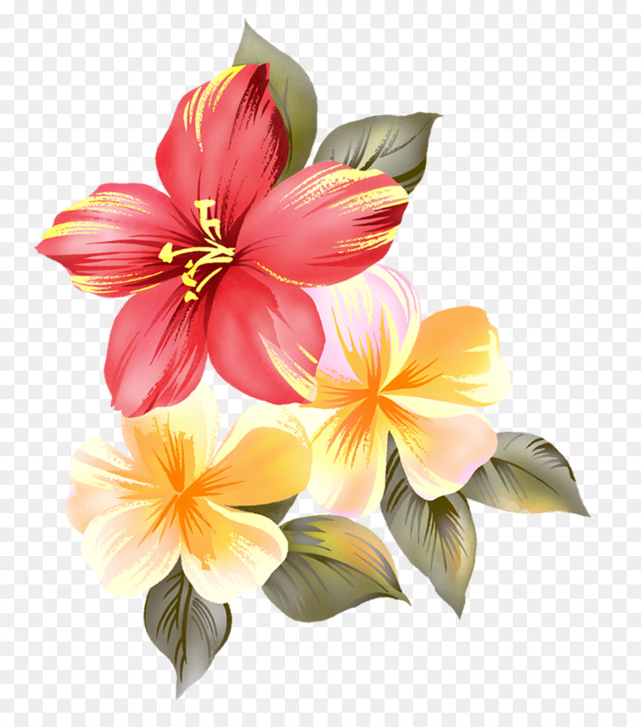Lily Flower Cartoon