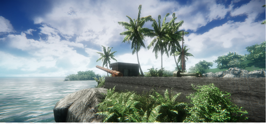 Palm Tree Background