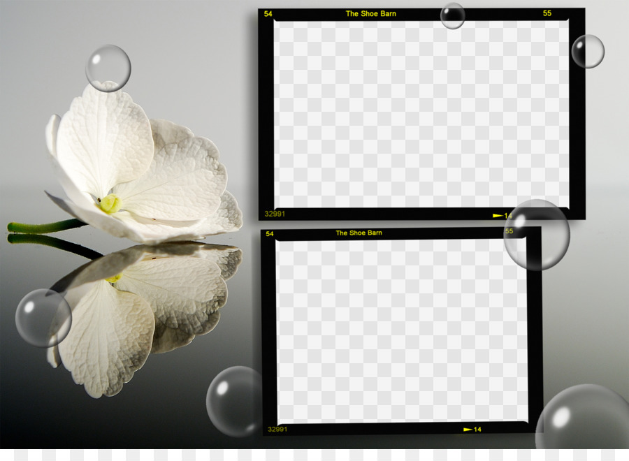 Blume Desktop Wallpaper Natur-Spiegel - Photoshop