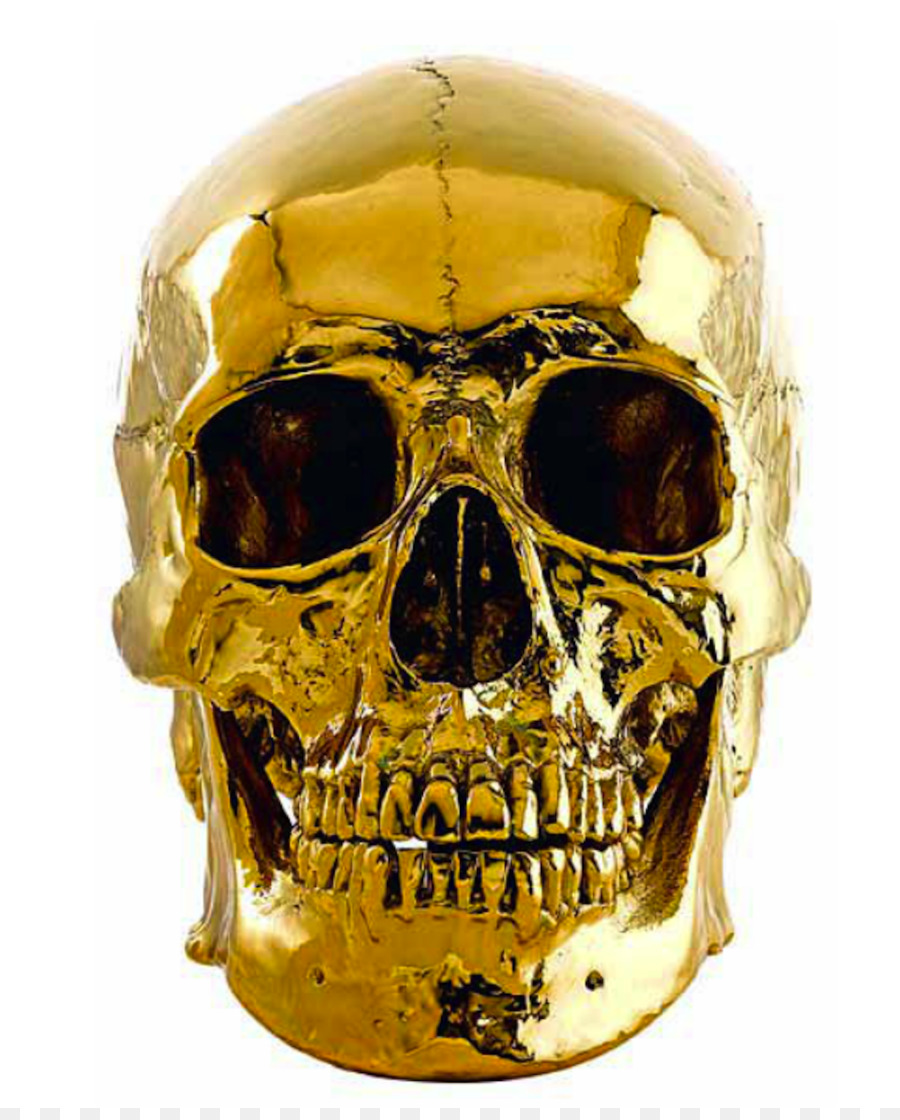 Động vật Sọ Vàng bộ Xương Sọ nghệ thuật - hộp sọ