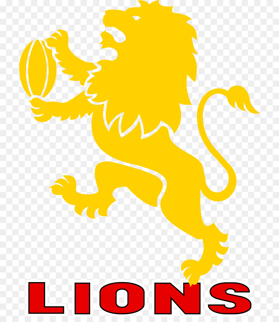 Ellis Park Stadium Golden Lions Vodacom Cup Puma - testa di leone