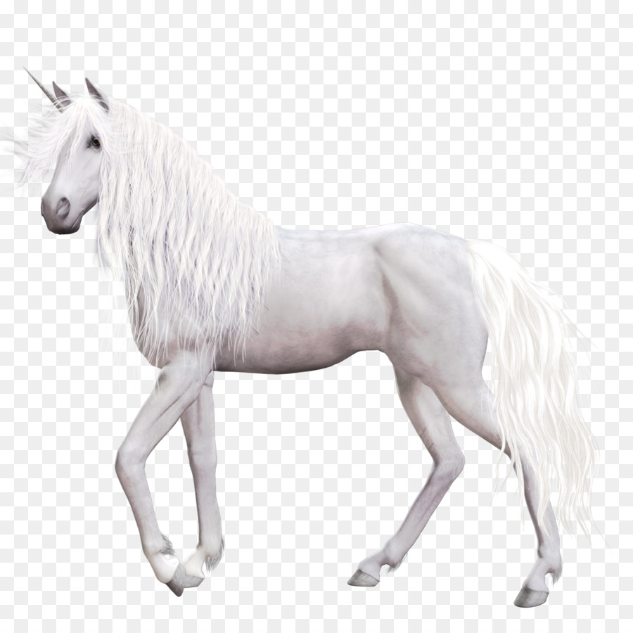 Cavallo Unicorno Pegasus Clip art - unicorn sfondo