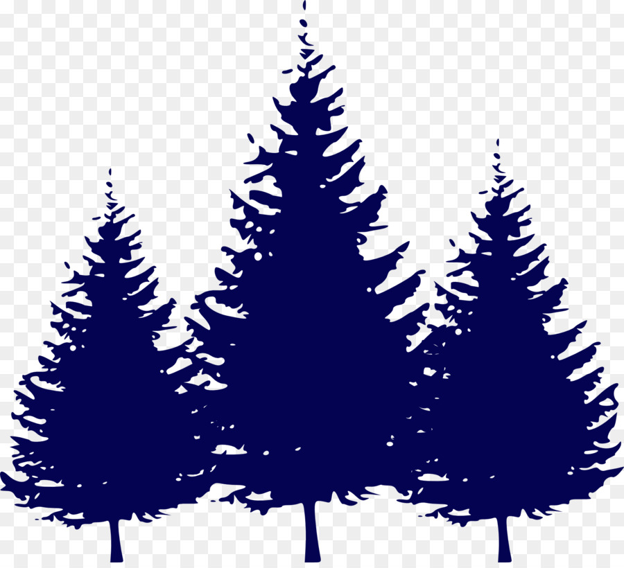 Abies concolor Pine Tree Clip art - Kiefer
