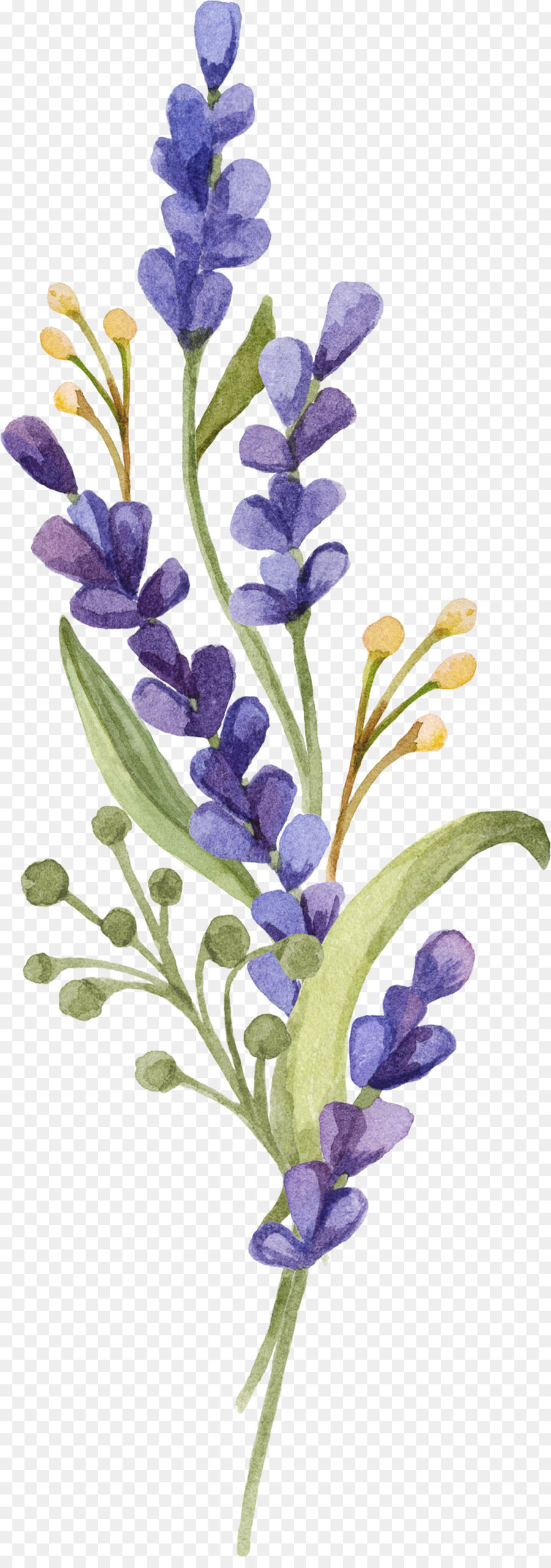 Purple Watercolor Flower