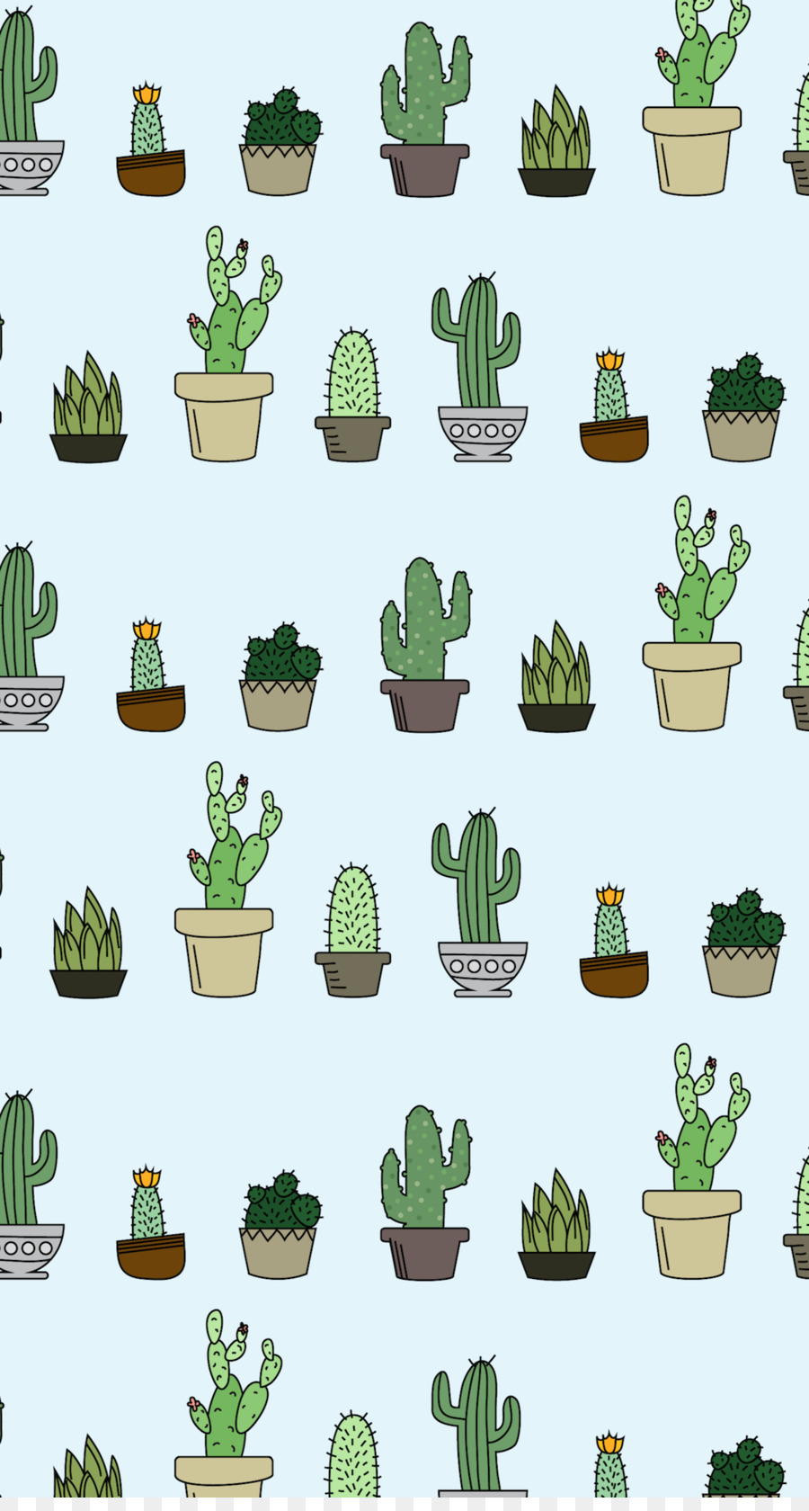 Sfondo del Desktop Cactacee pianta Succulenta Sfondo della schermata Home - cactus