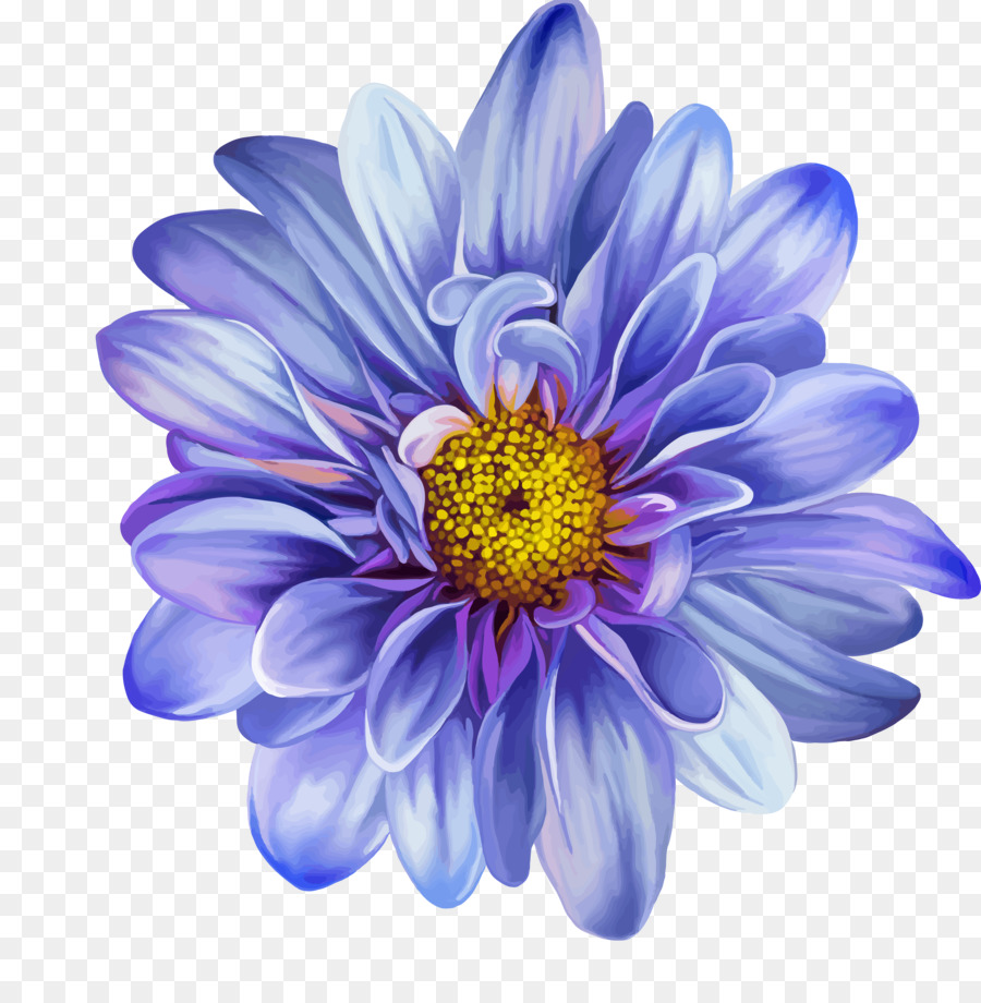 Blume, Zeichnung, Blau, rose Clip art - Blaue Blume