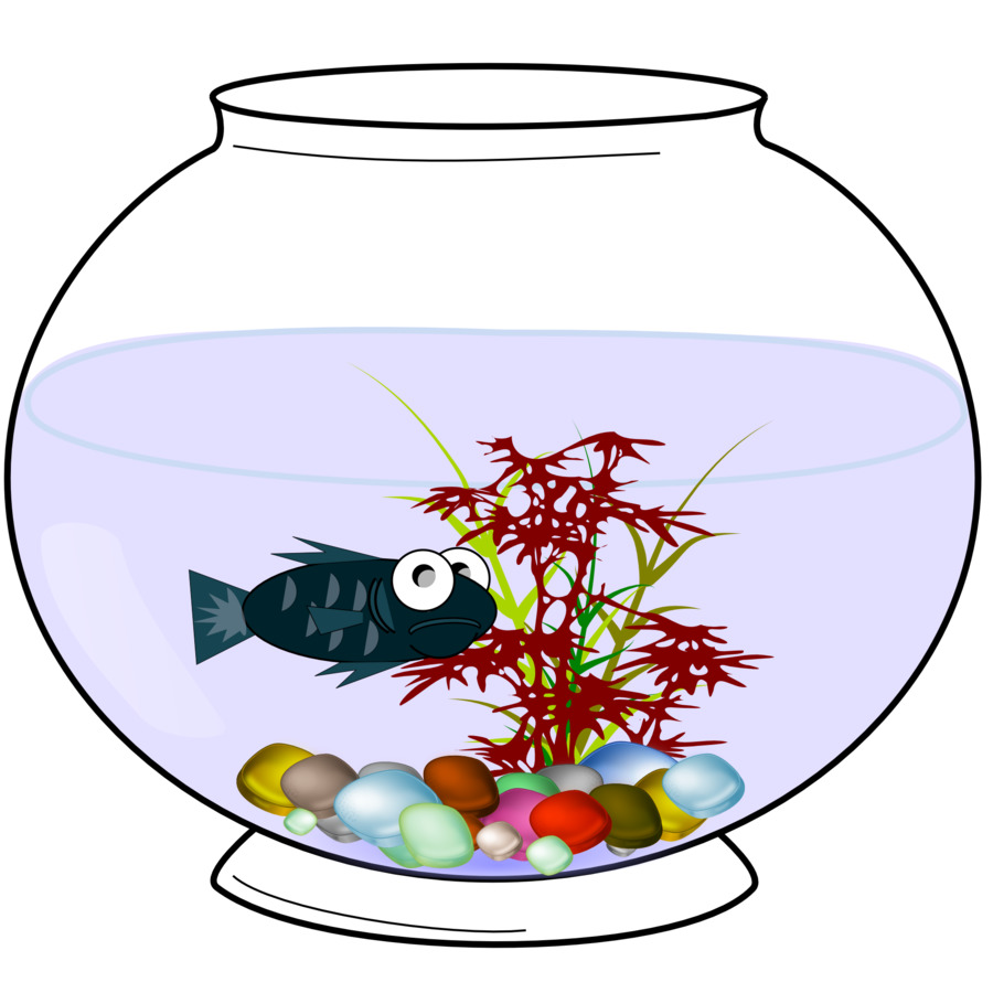Fish Bowl Clip-art - Aquarium