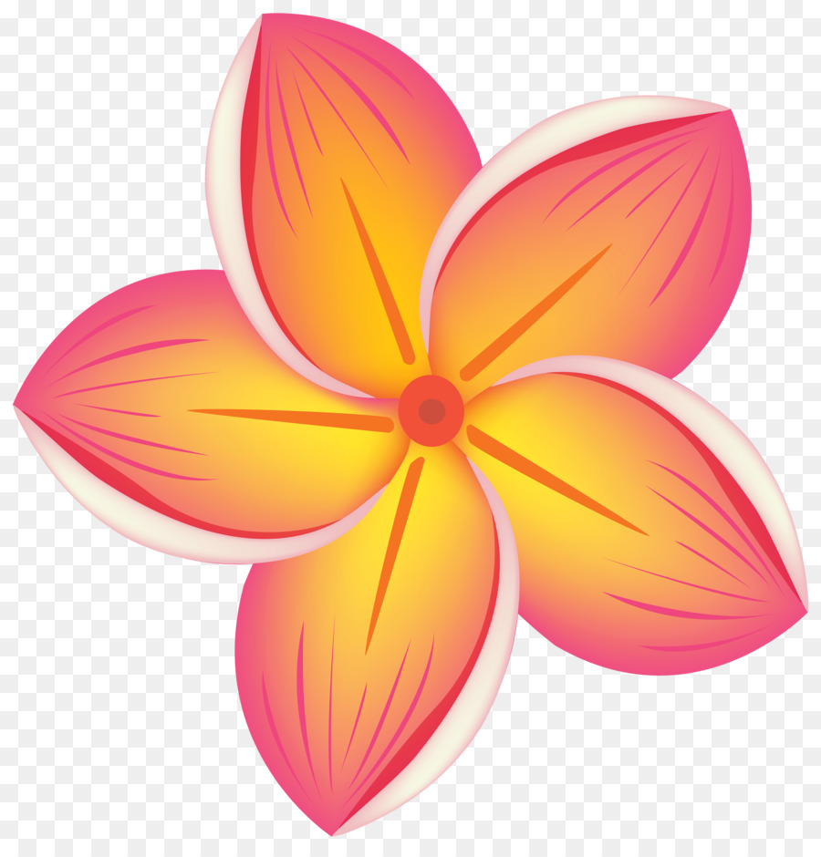 Hoa Clip nghệ thuật - nhiệt đới