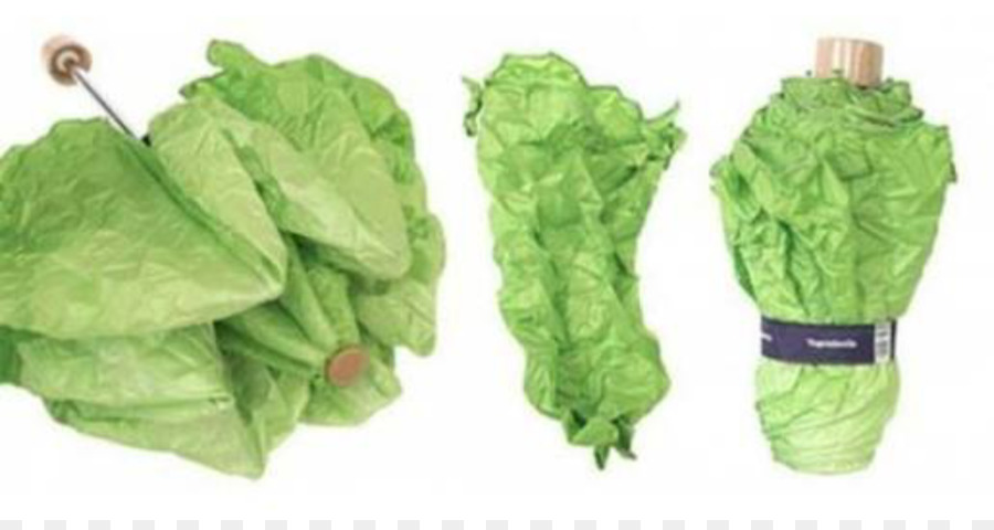 Romaine lettuce Dach-Blatt-Gemüse - kopfsalat