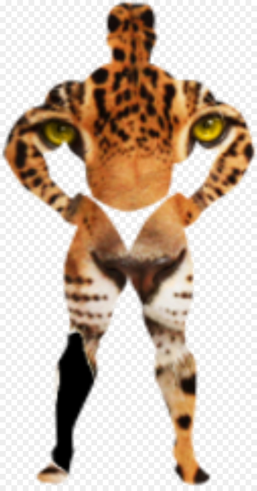 Tiger Cartoon png download - 1095*2079 - Free Transparent African Leopard  png Download. - CleanPNG / KissPNG