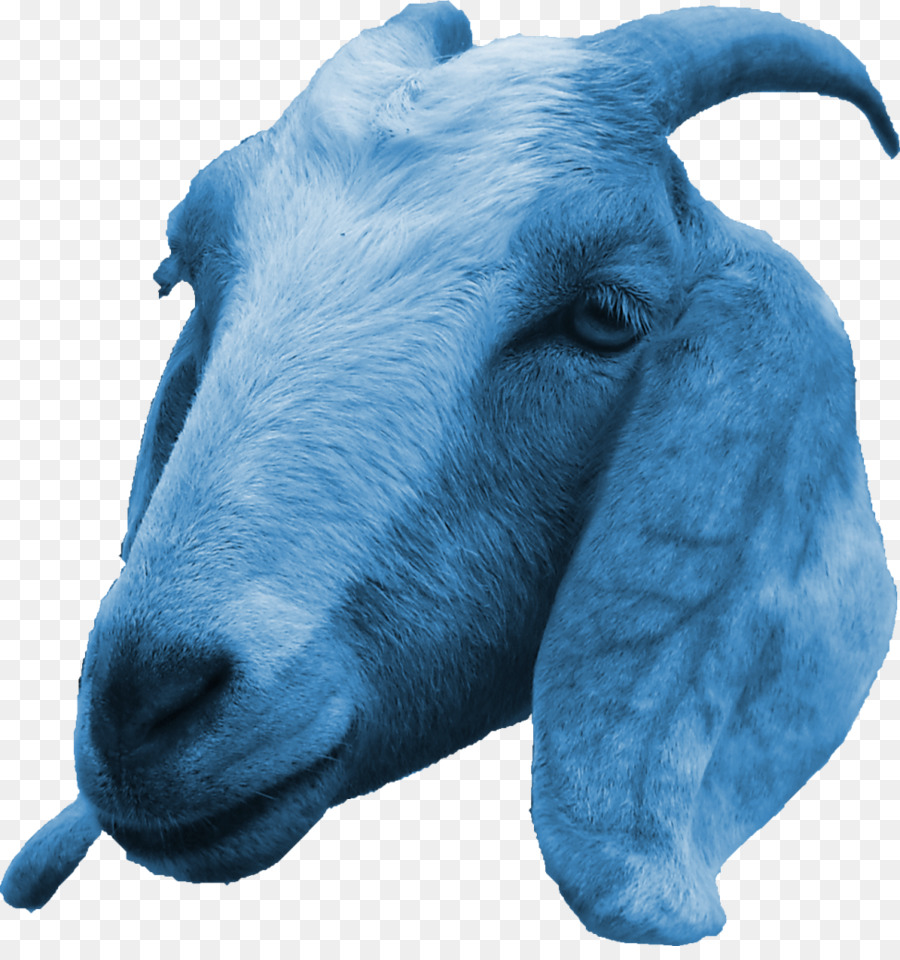 Vật Tế Thần Gia Súc Cừu Caprinae - Dê