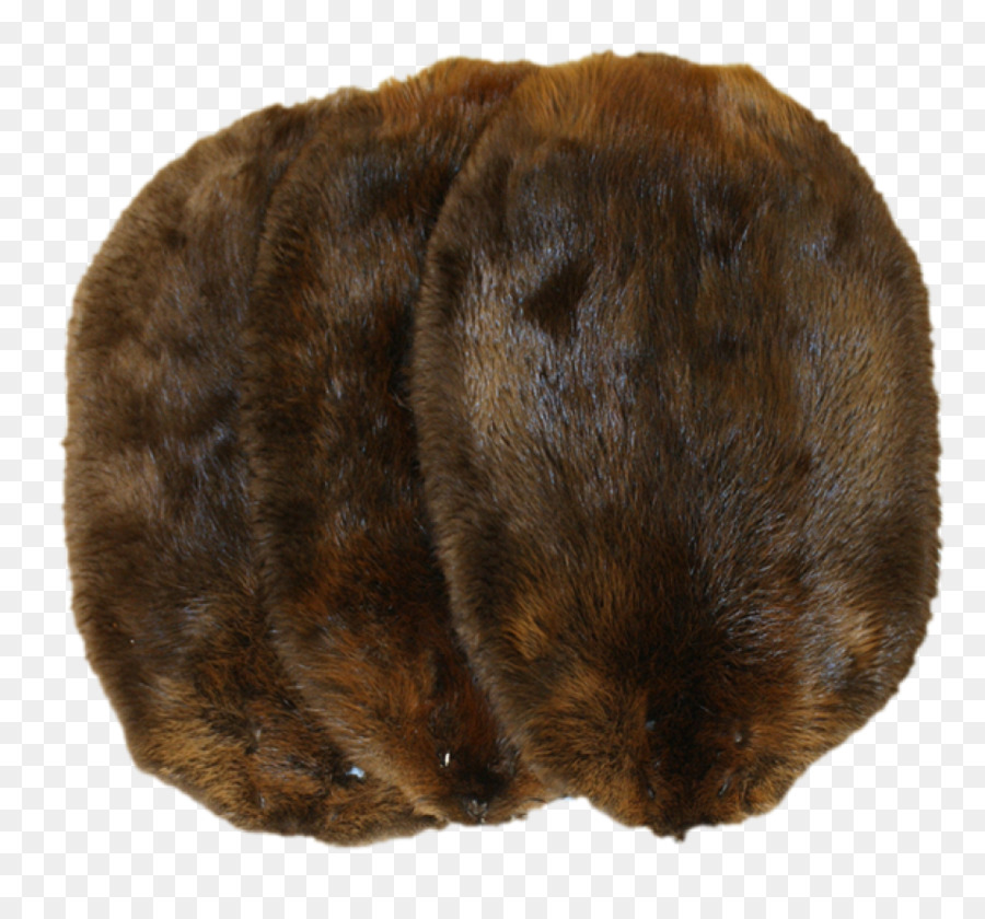 Nord america di castoro, topo muschiato commercio di Pellicce Biberfell - castoro