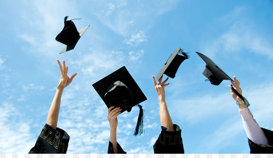 University of Florida College den Akademischen Grad Bachelor Major - absolvierte