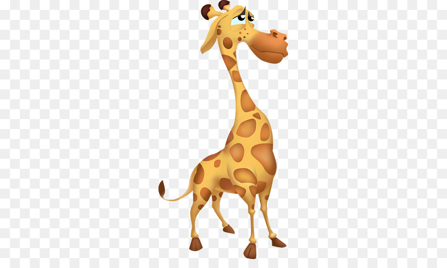Heu Tag Masai giraffe Tier Giraffe Manor Tierwelt - Giraffe