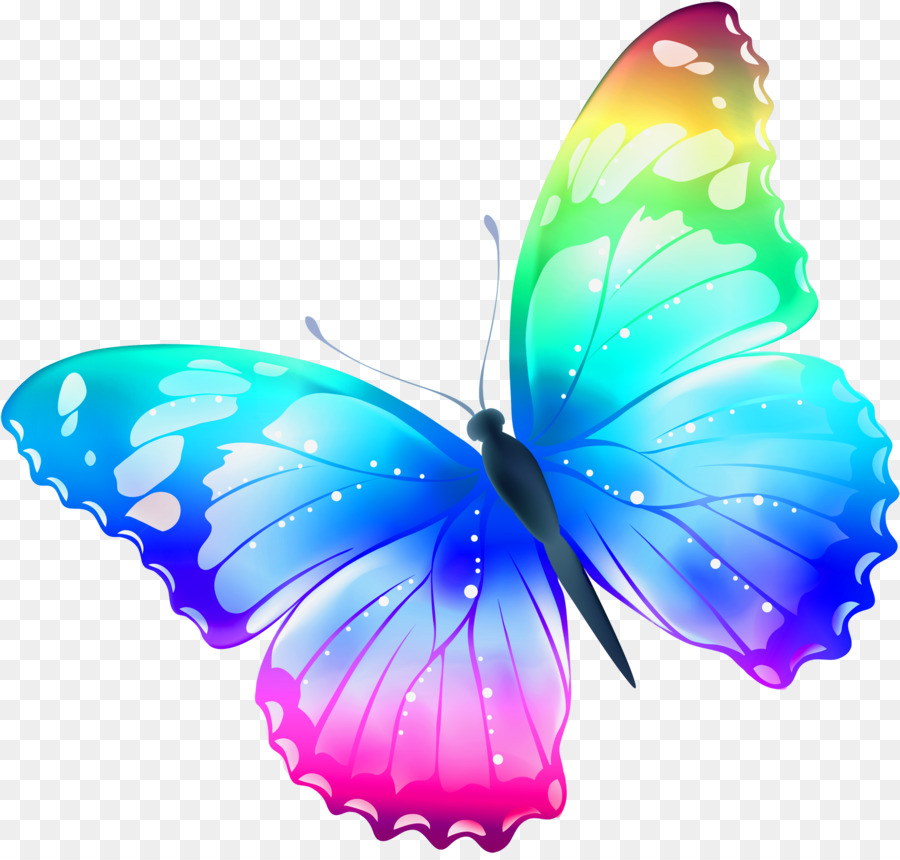 Farfalla Rosa gatto Disegno Clip art - farfalla