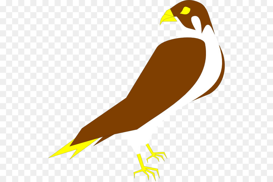 Peregrine falcon Clip-art - Falcon
