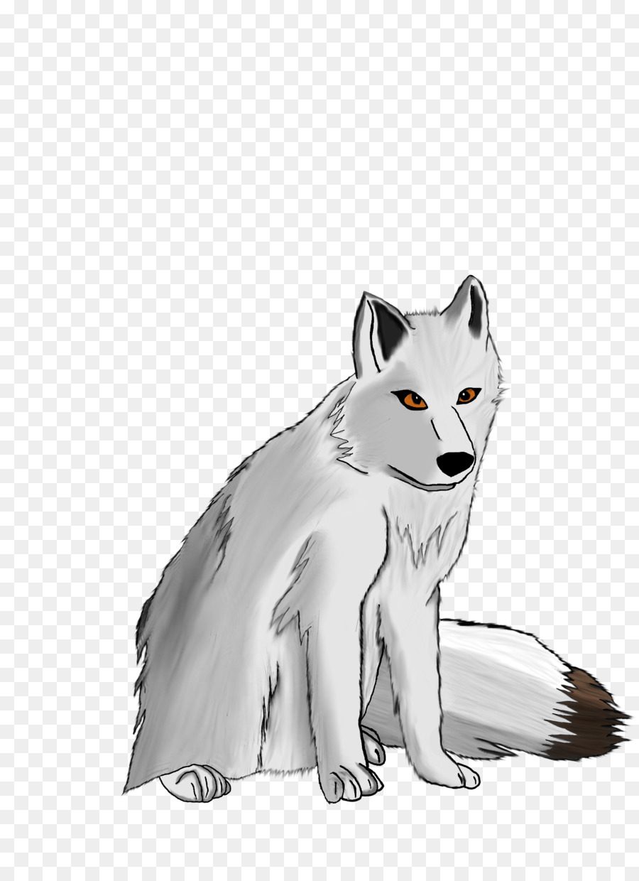 Arctic Fox graue Wolfs Zeichnung - Arctic Fox
