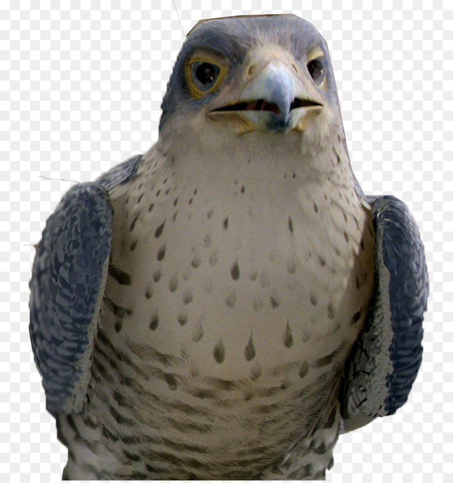 Margalo l'Uccello Del Male Falcon Snowbell Stuart Little - falco
