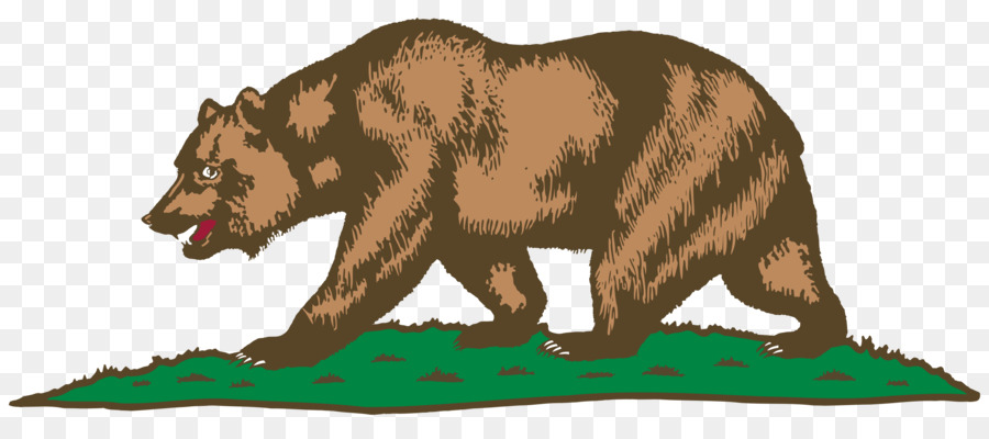 California Repubblica California grizzly bear Flag of California - Orso