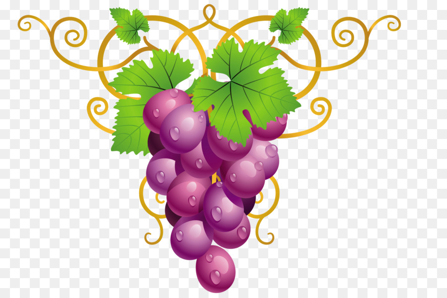 Comune di Uva, Vite da Vino Clip art - uva