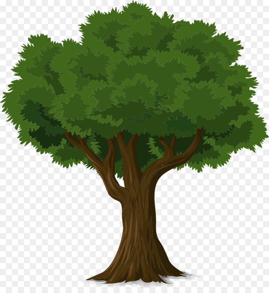 Tree Clip Art - Bäume