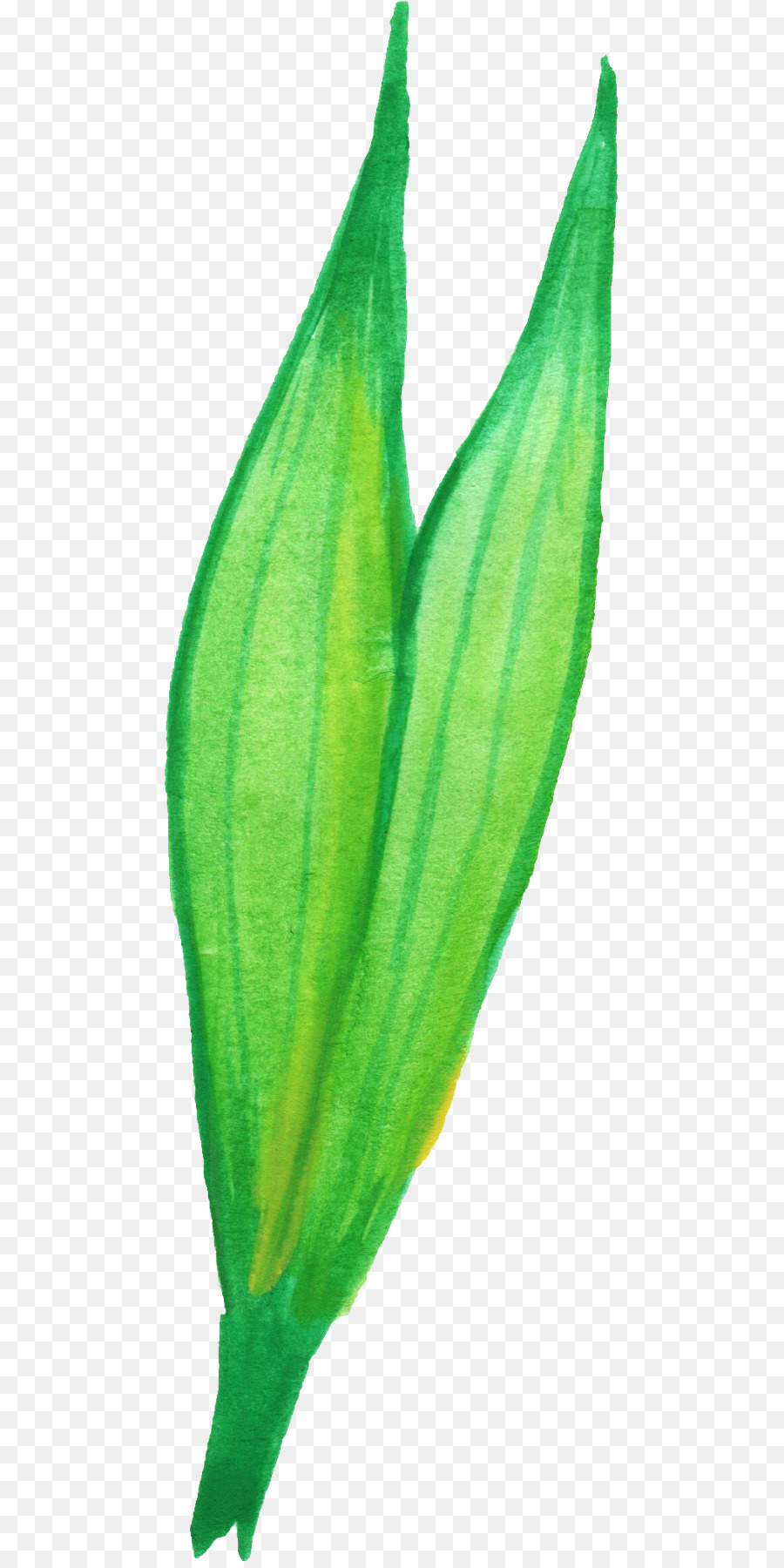 Blatt-Blume-Pflanze-Stiel - Aquarell Blätter