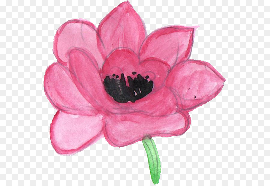 Schneiden Sie die Blumen Blütenblatt Pseudanthium - Aquarell Blume