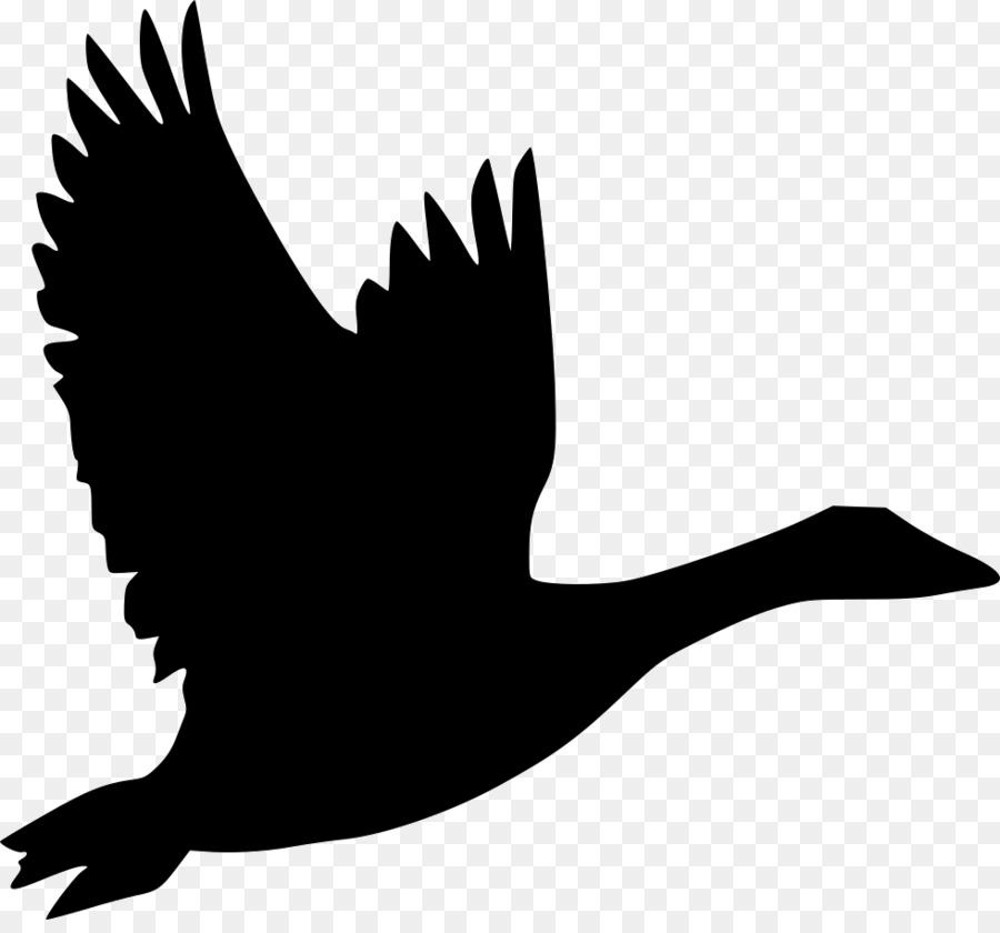 Vogel Gans Flug Duck Clip art - Gans