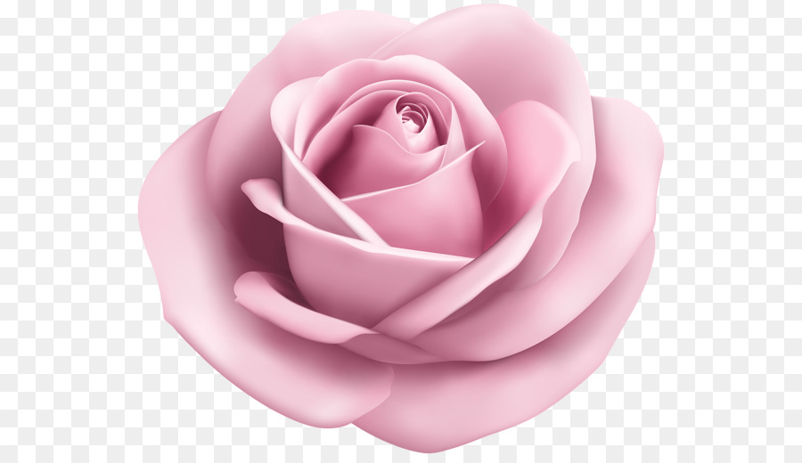 Rose Clip Art - Weich