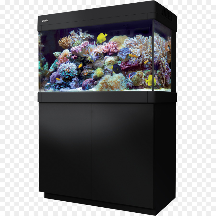 Red Sea Reef aquarium Korallenriff-Aquarien - Aquarium