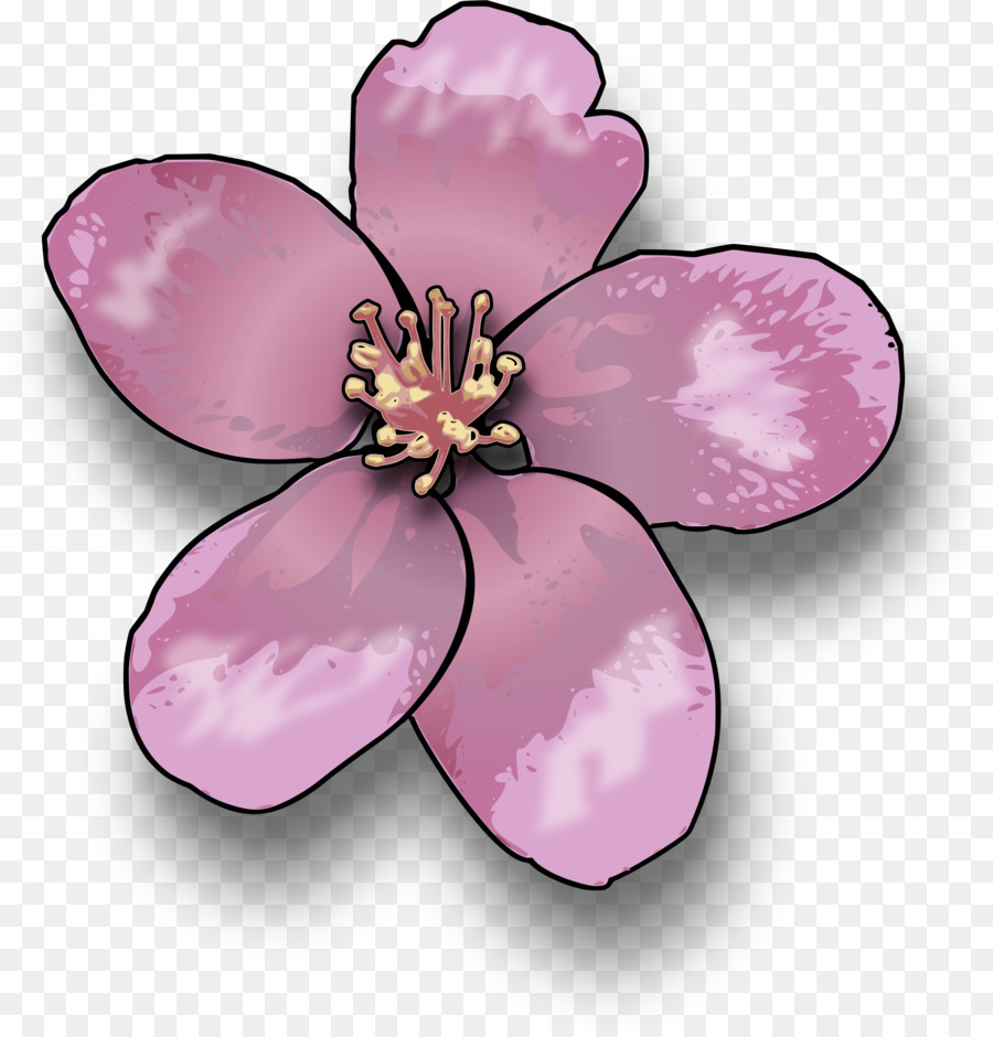Cherry blossom Clip art - Blüte
