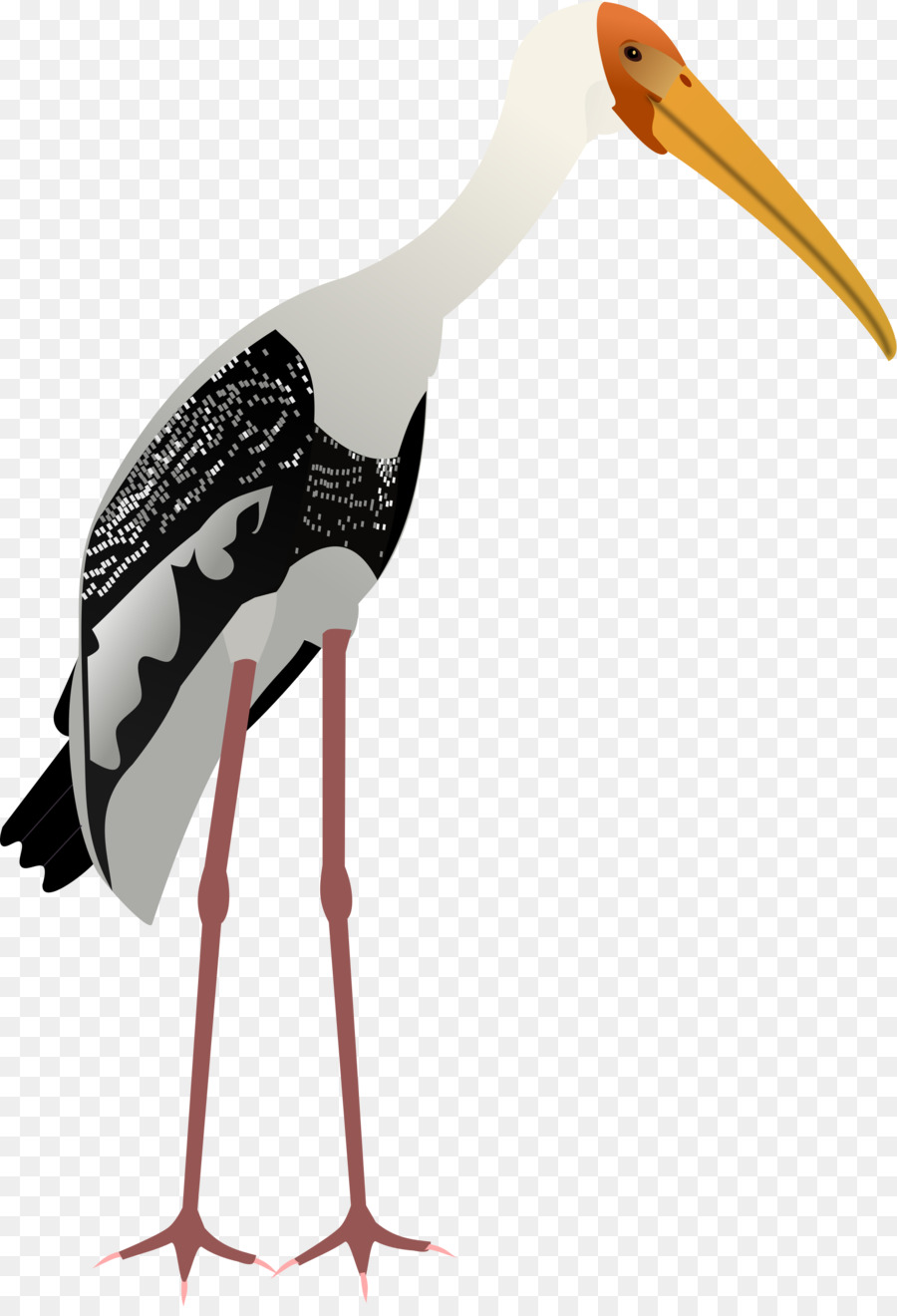 Weißstorch Kranich-Vogel - Storch