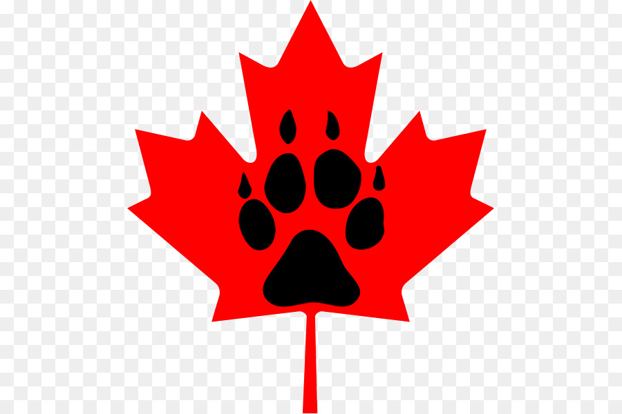 Cờ của Canada lá Clip nghệ thuật - Raccoon