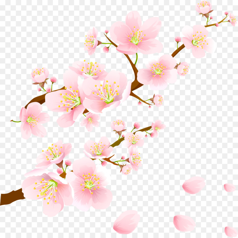 Nozze invito Carta di Ciliegio, carta da Parati - fiore di ciliegio