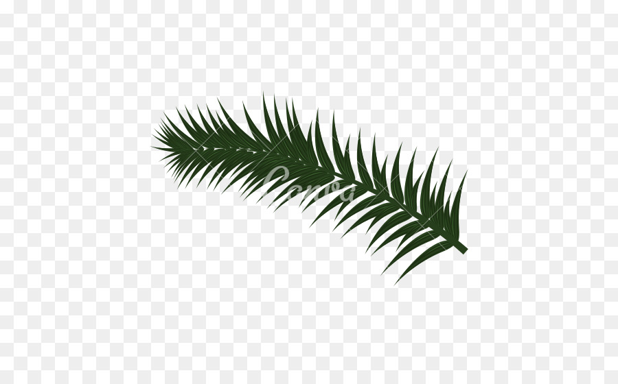 Polytrichum comune Foglia Icone del Computer - foglie di palma