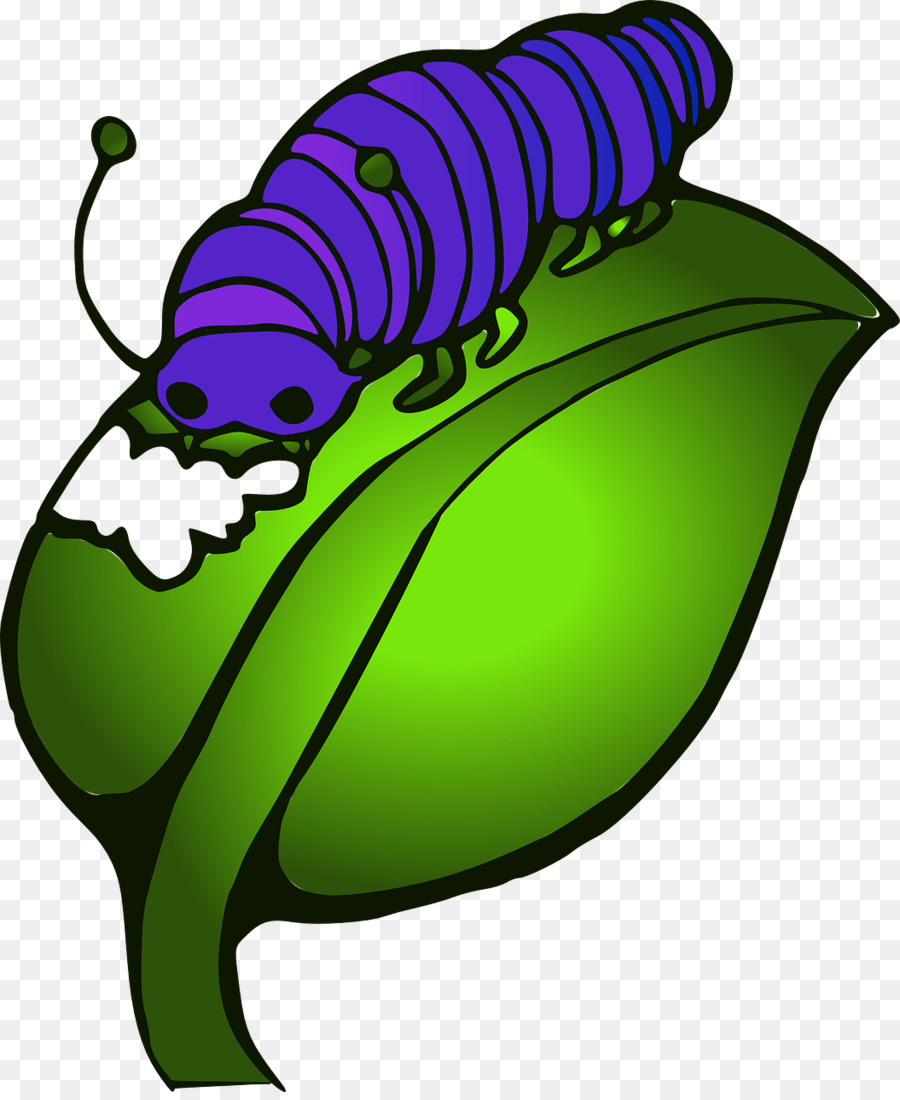 Die Sehr Hungrige Raupe Caterpillar Inc. Schmetterling Clip art - Raupe