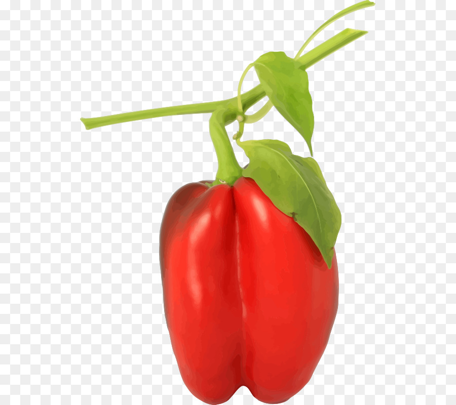 Bell pepper, Taco, Chili-pepper, Black pepper Spice - Pfeffer