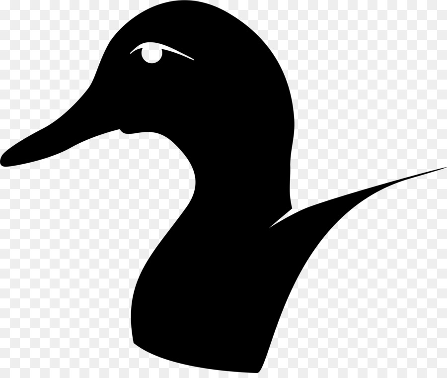 American Pekin Duck Goose Bird Germano Reale - anatra