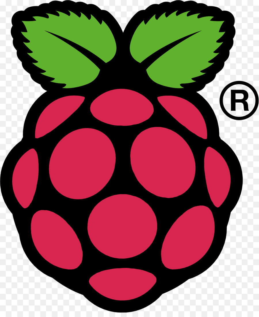 Raspberry Pi 3 Software Per Computer - lampone