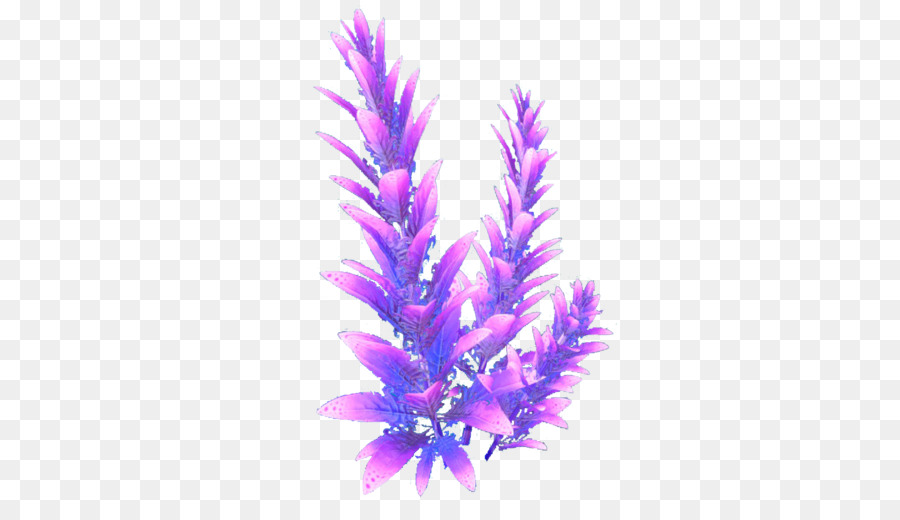 Subnautica Violett-Wiki-Flora - Lavendel