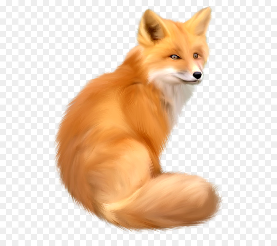 Fox Clip nghệ thuật - động vật màu nước