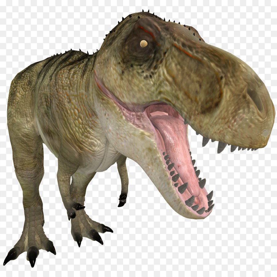 Tyrannosaurus rex Allosaurus computer grafica 3D - altri