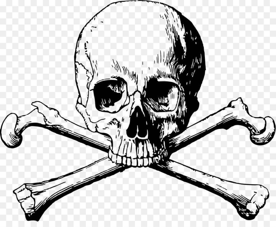 Skull and Bones TOTENKOPF Menschlicher Schädel Symbolik - Knochen