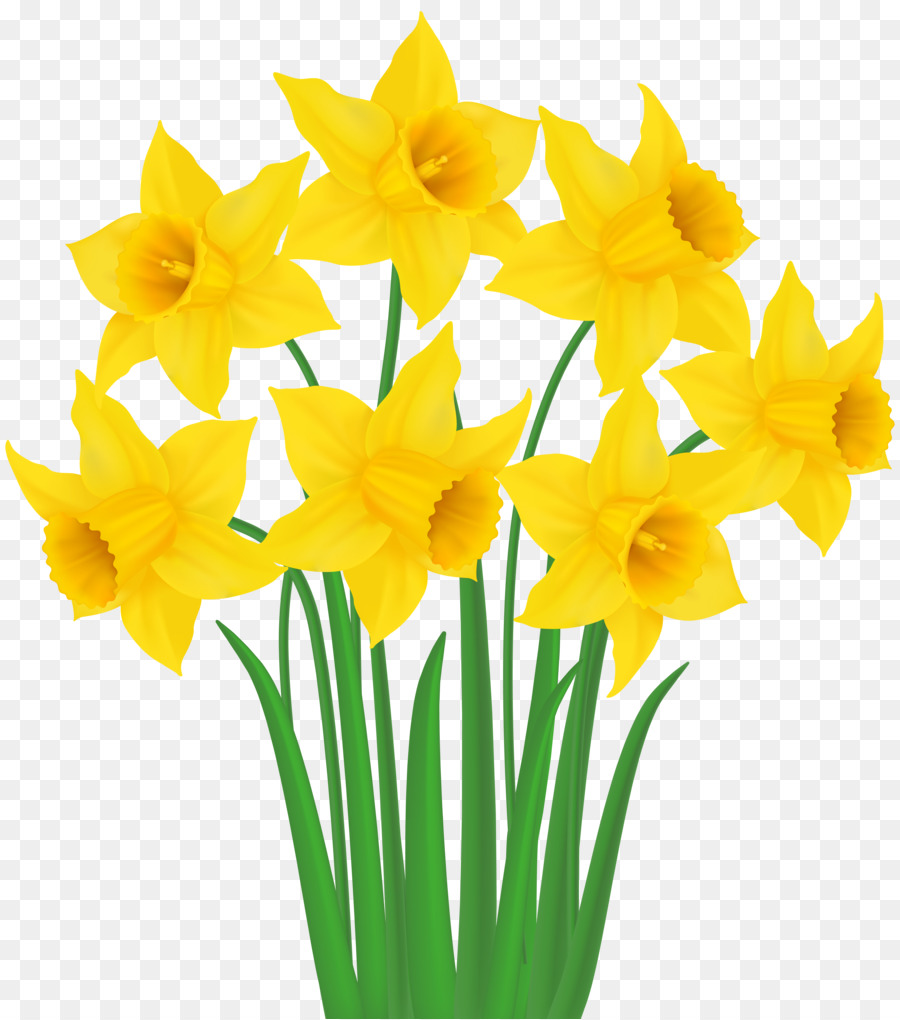 Daffodil Clip art - altri