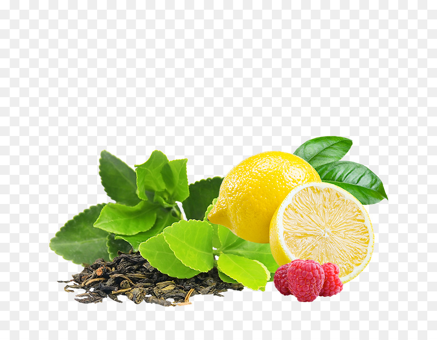 Grüner Tee Infuser Infusion Trinken - Limonade