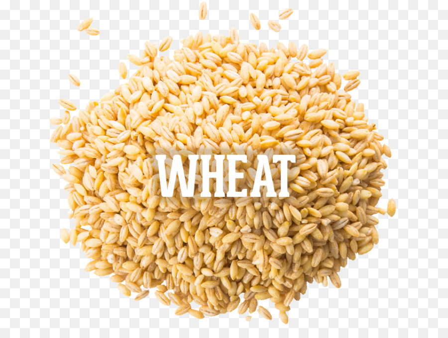 Đánh vần ăn Chay Gạo Toàn bộ ngũ cốc cốc - lúa mì