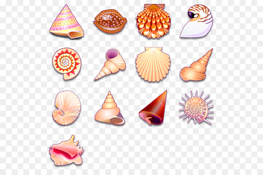 Seashell Computer-Icons Clip art - Seashell