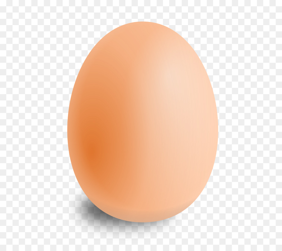 Egg Cartoon png download - 587*800 - Free Transparent Fried Egg png  Download. - CleanPNG / KissPNG