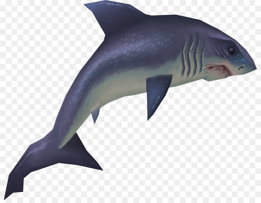 Hungry Shark Evolution Pesce squalo bianco, squalo Tigre - squali