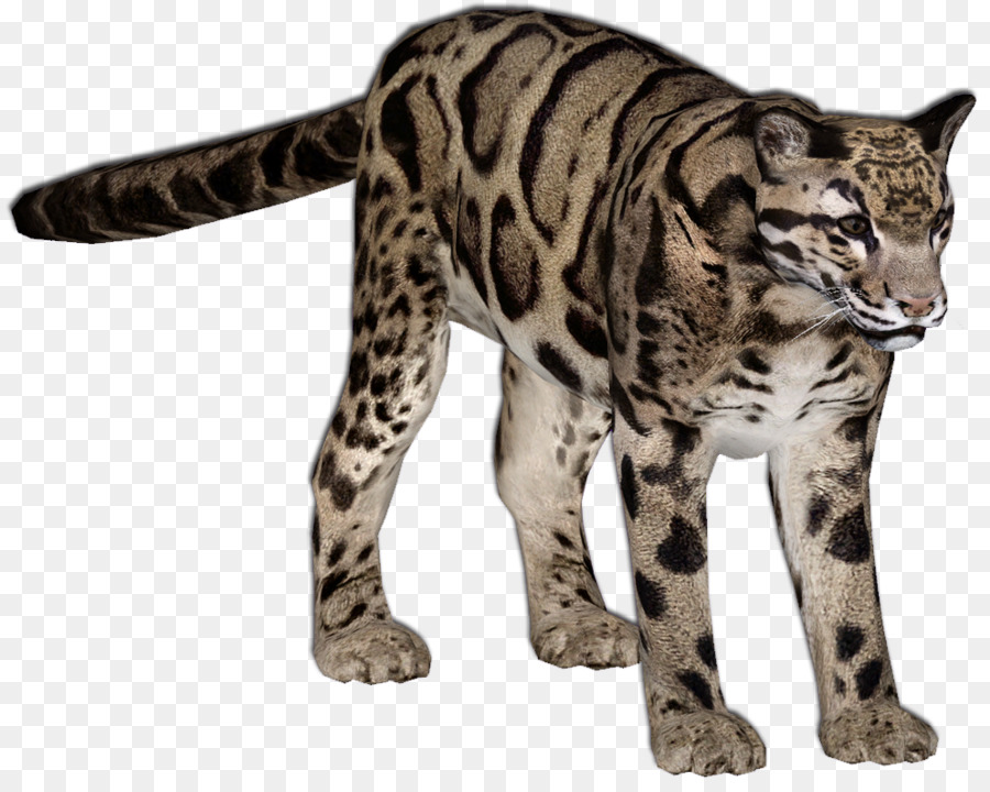 Zoo Tycoon 2 Felidae leopardo dell'Amur Ocelot - leopardo